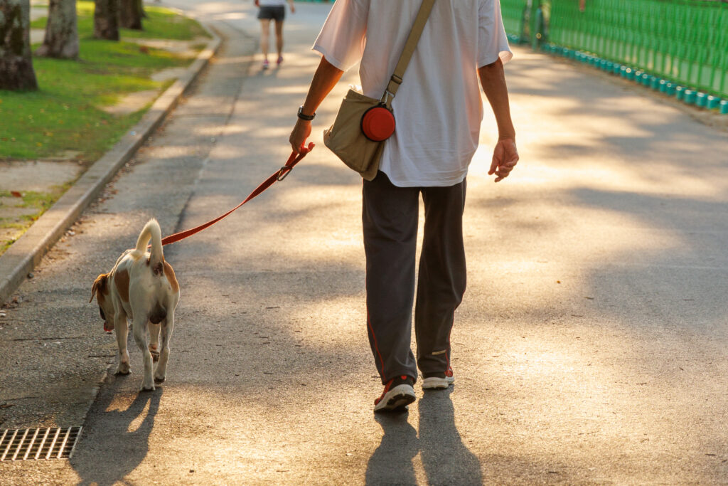 散歩する犬と飼い主